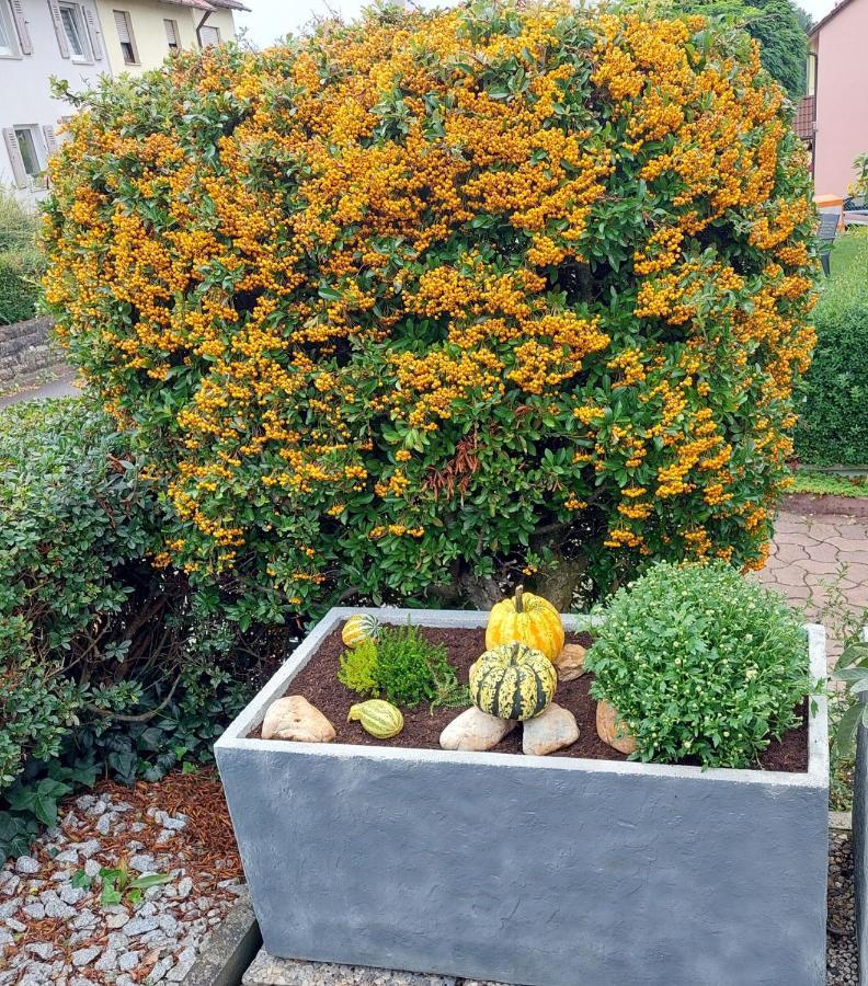 Ferienwohnung "Auszeit" Hofheim in Unterfranken Exterior foto